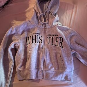 Gray Whistler Zip-Up Hoodie